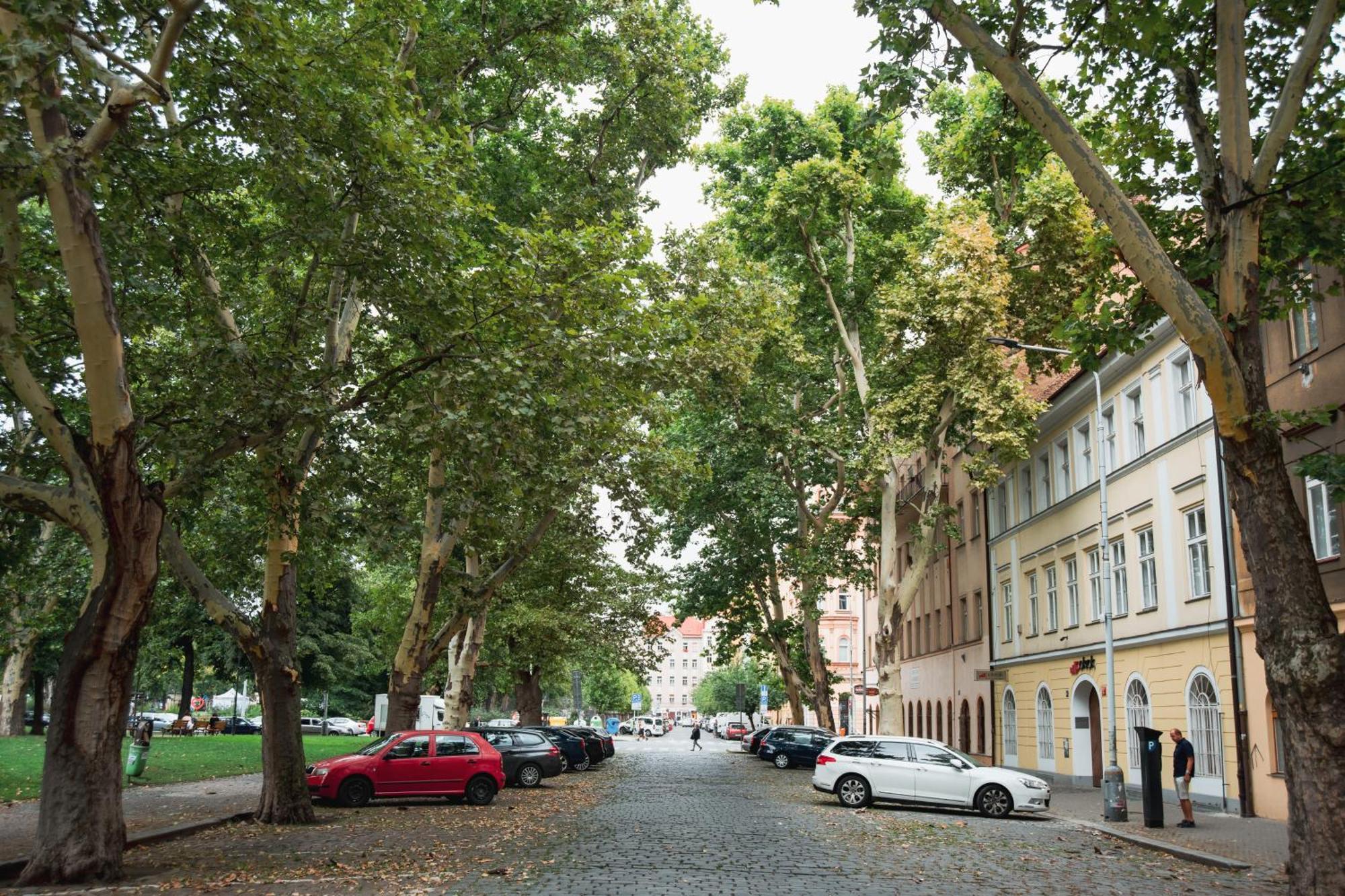 K-14 * Praag